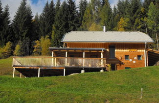 Foto 1 - Chalet in Styria Near the ski Area