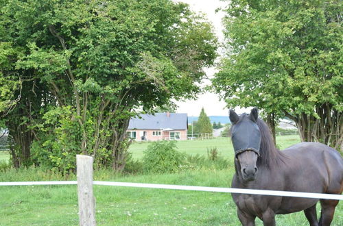 Photo 29 - Modern Villa in Rochefort Close to the Horses