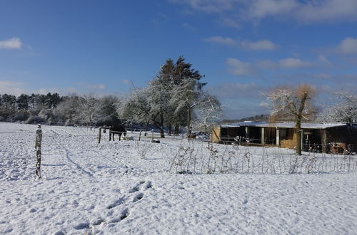 Photo 32 - Modern Villa in Rochefort Close to the Horses