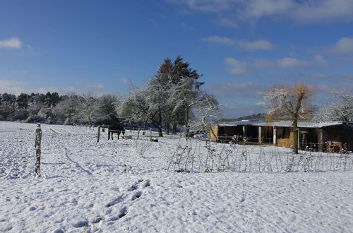 Photo 38 - Modern Villa in Rochefort Close to the Horses