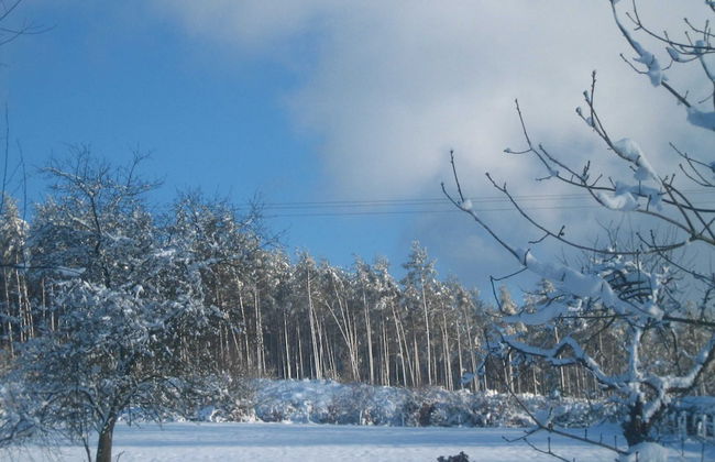 Holiday Home in Fays With Sauna & Hiking - Foto 39