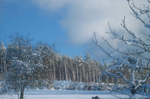 Photo 36 - Dreamy Holiday Home in Fays With Sauna