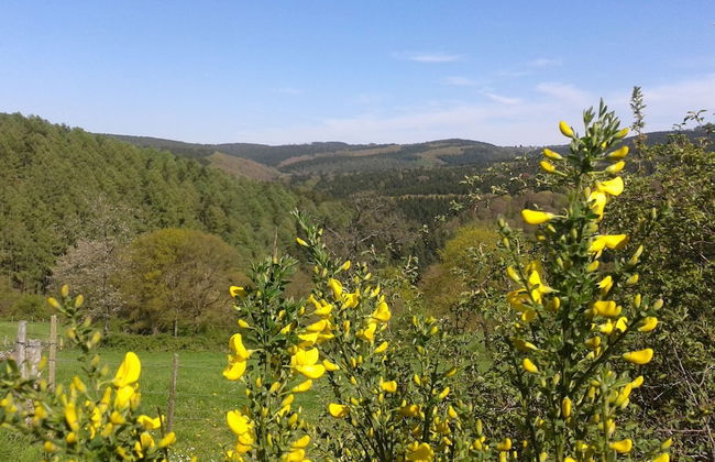Holiday Home in Fays With Sauna & Hiking - Foto 36