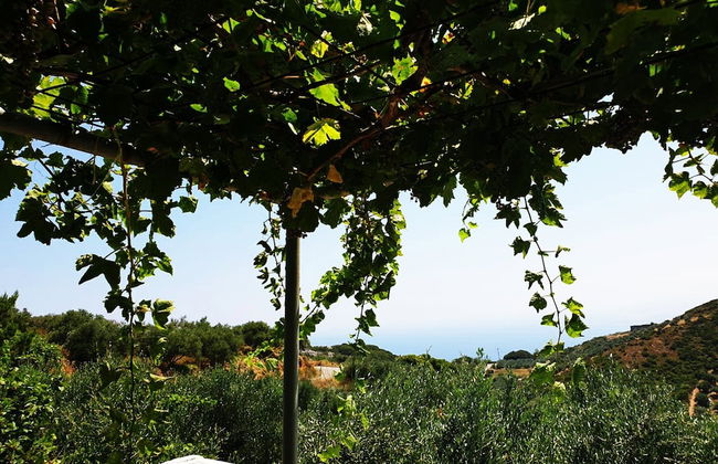 Traditional House Spectacular View near Heraklion - Foto 20