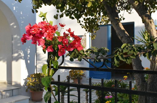 Photo 2 - Dedalos Studios Naxos