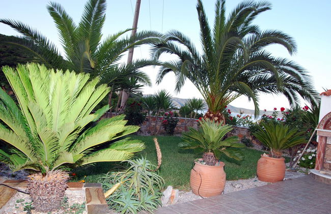 Villa Elena - Photo 28