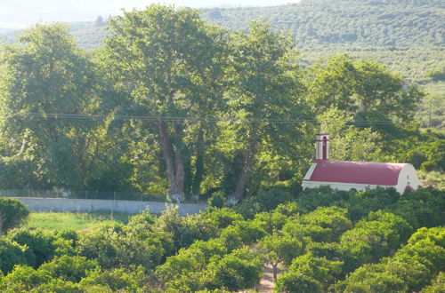 Photo 29 - Stefanos Garden