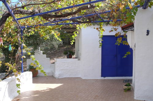 Photo 15 - Stefanos Garden