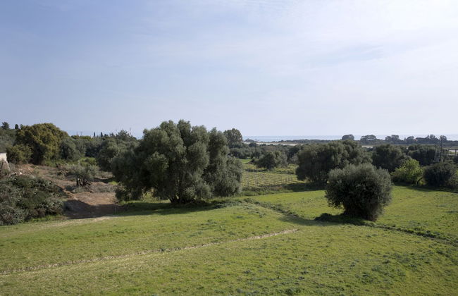 Maggana Residence - Photo 39
