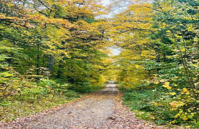 Family Getaway in Dankerode - Foto 33