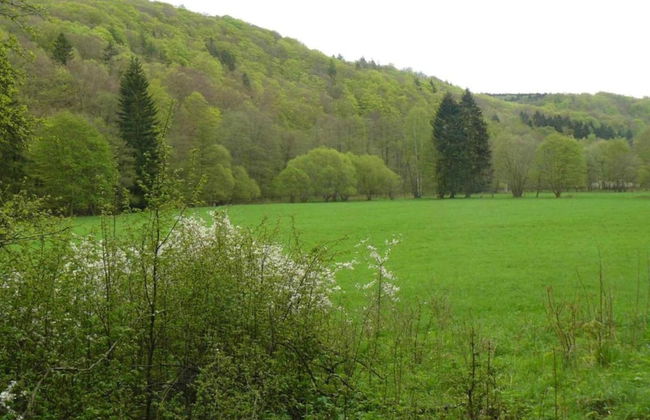 Hill-view Holiday Home in Dankerode Near Lake and Hiking - Foto 63