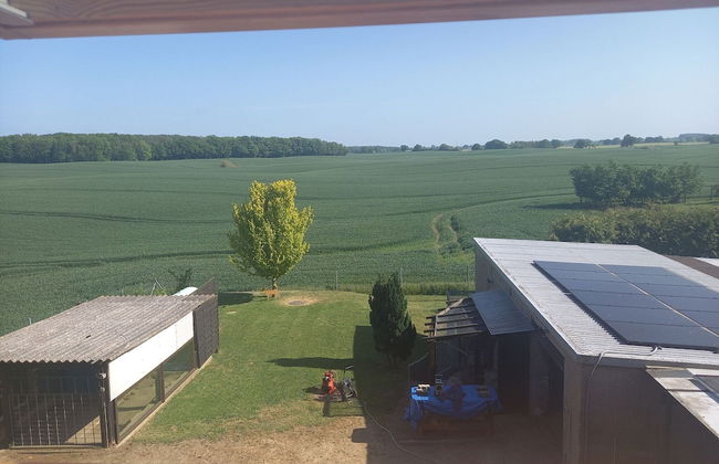 Schone Zweizimmer-ferienwohnung mit Pool im Garten - Photo 22