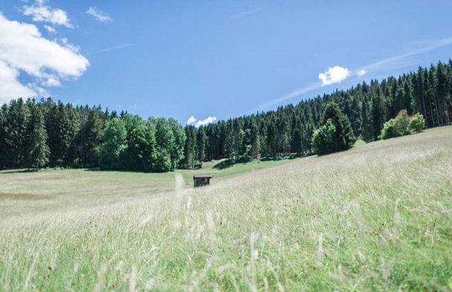 Apartment in Dachsberg-urberg - Foto 30