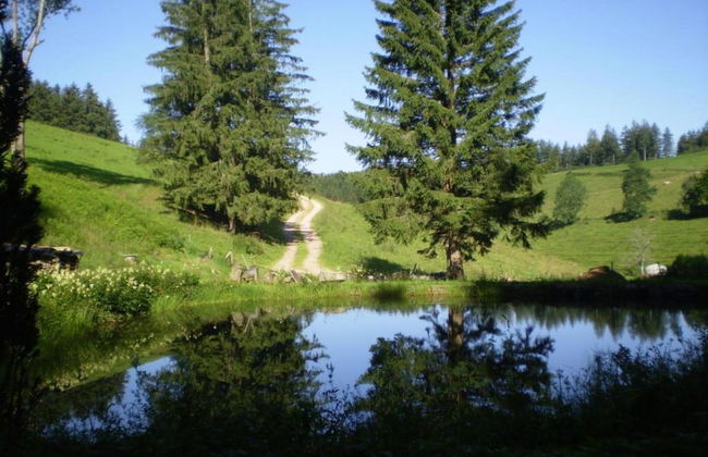 Apartment in Gutenbach With Nearby Forest - Foto 30