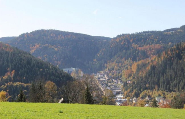 Lush Apartment in Furtwangen near Black Forest with Balcony - Foto 29