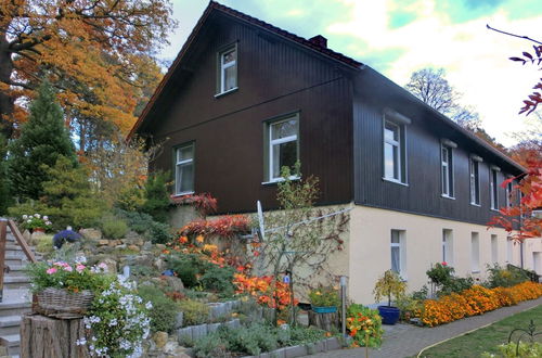 Photo 18 - Spacious Apartment in Blankenburg Harz near Ski Area