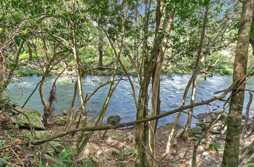 Photo 32 - Wanggulay Treetops Cairns City