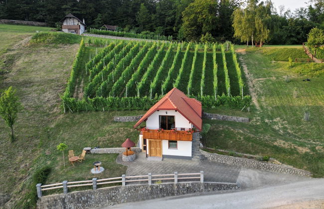 Vineyard Cottage Krivic - Foto 17