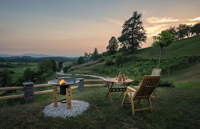 Vineyard Cottage Krivic - Foto 24