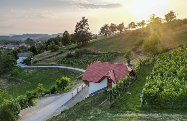 Vineyard Cottage Krivic - Foto 18