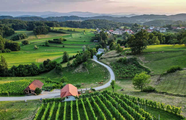 Vineyard Cottage Krivic - Foto 21
