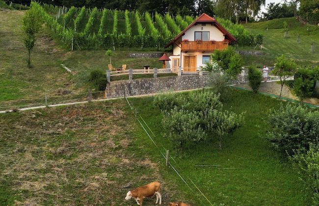 Vineyard Cottage Krivic - Foto 22