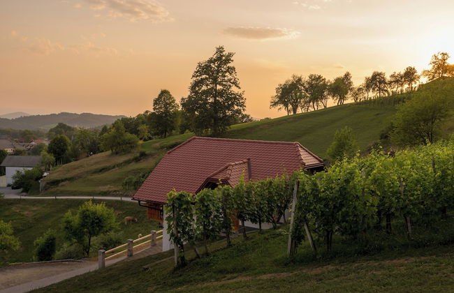 Vineyard Cottage Krivic - Foto 23
