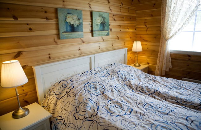 Salkolahti Kiiltavainen - Photo 2