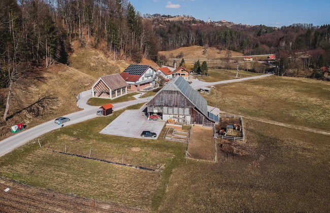 Farm Stay Žurej - Photo 1