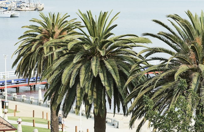 Anchor Geelong - Foto 47