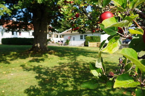 Photo 2 - Holiday Home in Åsa