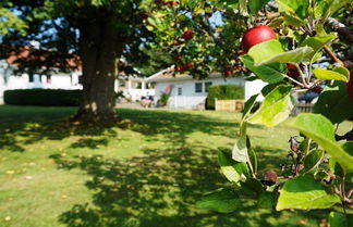 Photo 1 - Holiday Home in Åsa