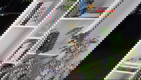 Wohnbereich