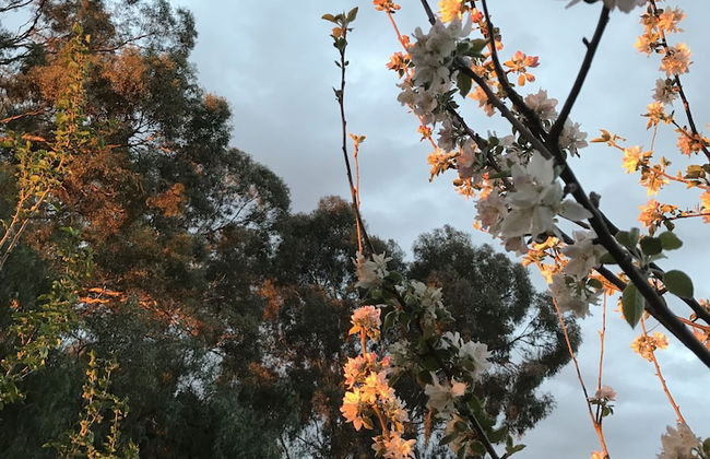 Bundalong Holiday Resort - Foto 22