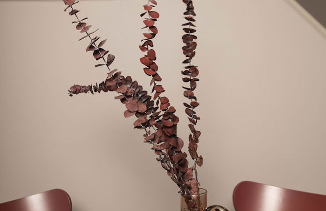 Bob W Commercial House - Foto 13