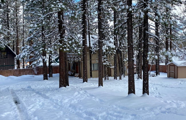 Rincon Cabin - Foto 12