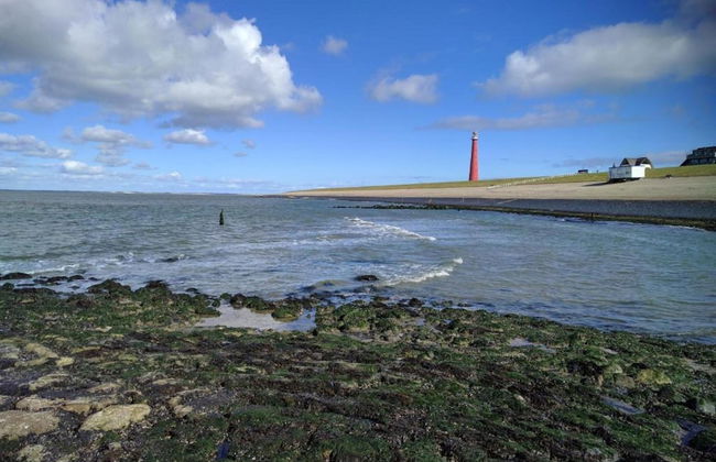 Holiday Home in Huisduinen Near the Dunes and sea - Photo 35