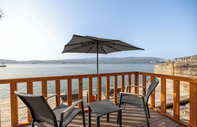 Roseira Bungalov - Foto 4