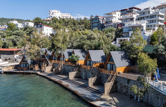 Roseira Bungalov - Foto 1