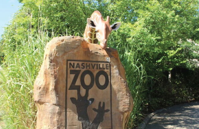 116 The Music Valley House - Photo 42
