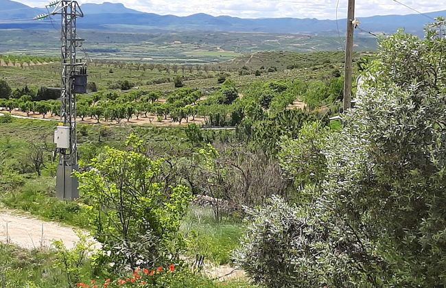 Casa Rural Garnacha de Borja has a Barbacue and Terrace - Photo 59