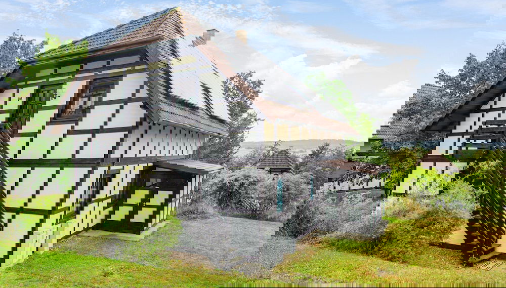 Primary image