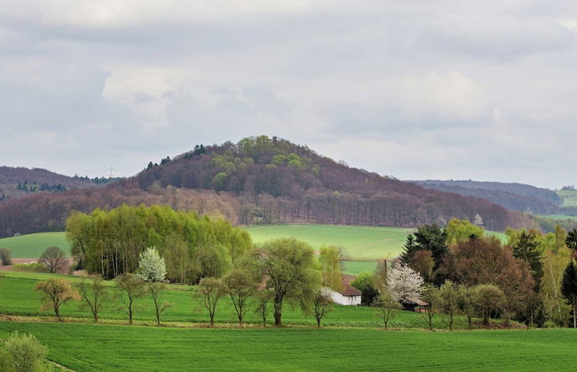 Ferienhaus in Homberg - Foto 19