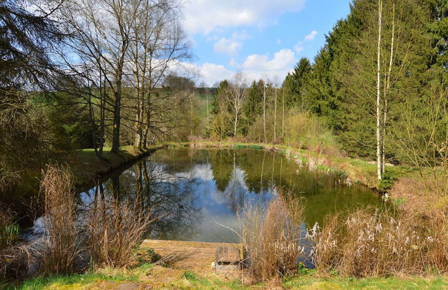Holiday Home not far From the Small Town of Durbuy - Foto 69