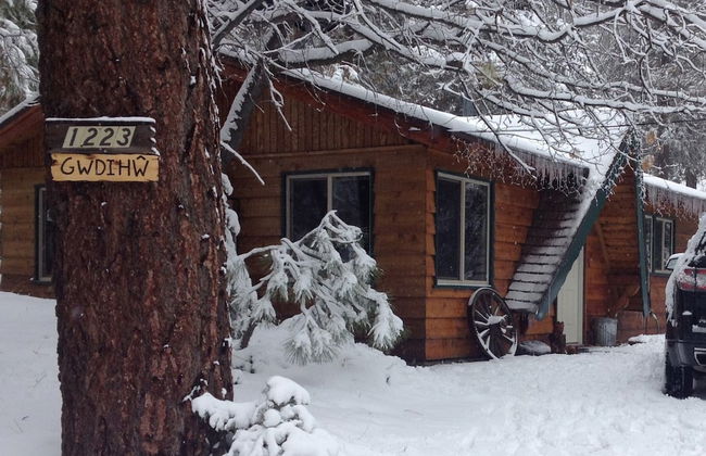 Owl Cabin - Foto 19