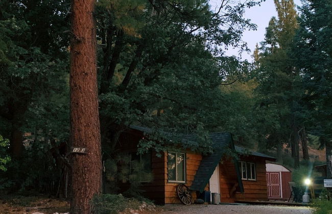 Owl Cabin - Foto 1
