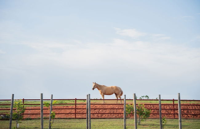 Peaceful Luxurious Ranch Family Reunion - Foto 61