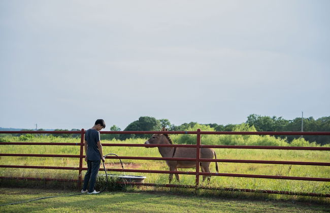 Peaceful Luxurious Ranch Family Reunion - Foto 59