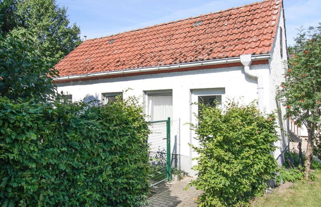 Ferienhaus im Mueritz-nationalpark in Mirow - Foto 9