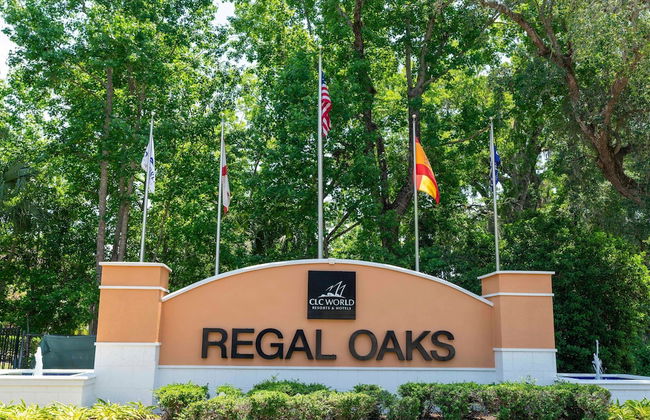 Cozy 4BR Regal Oaks w hot tub - Foto 54